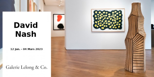EXHIBITION// DAVID NASH // GALERIE LELONG & CO // PARIS
