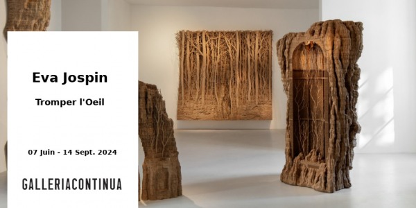 EXPO // EVA JOSPIN - TROMPER L'OEIL // GALLERIA CONTINUA // PARIS