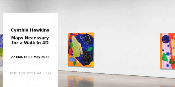 EXHIBITION // CYNTHIA HAWKINS // PAULA COOPER GALLERY // NEW YORK