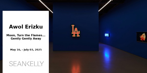 EXHIBITION // AWOL ERIZKU // SEAN KELLY GALERY // LOS ANGELES