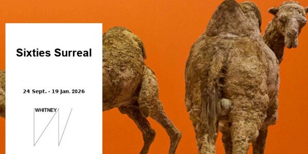 EXHIBITION // SIXTIES SURREAL // WHITNEY MUSEUM OF AMERICAN ART // NEW YORK