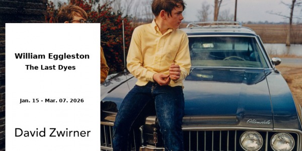 EXHIBITION // WILLIAM EGGLESTON - THE LAST DYES  // DAVID ZWIRNER GALLERY // NEW YORK