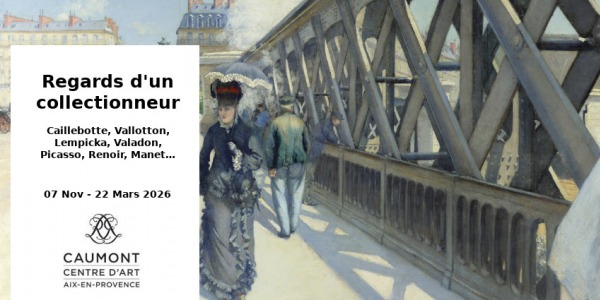 EXHIBITION // REGARDS D'UN COLLECTIONNEUR // CENTRE D'ART - HOTEL DE CAUMONT // AIX EN PROVENCE